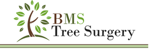 BMS TREE SURGERY, FULLY QUALIFIED AND PROFESSIONAL TREE SURGEON IN HASTINGS, EAST SUSSEX.
